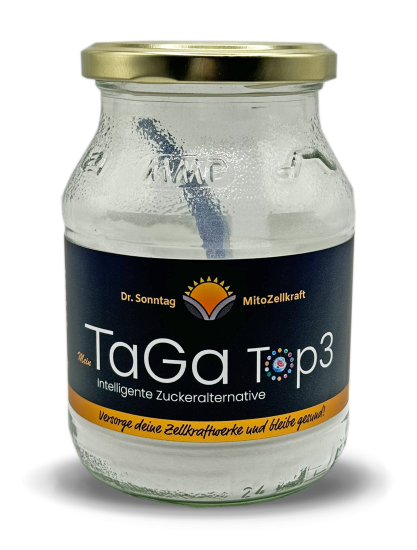 Mein TaGa TOP 3 - Mehrweg Glas